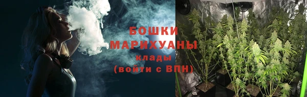 гидра Лысково