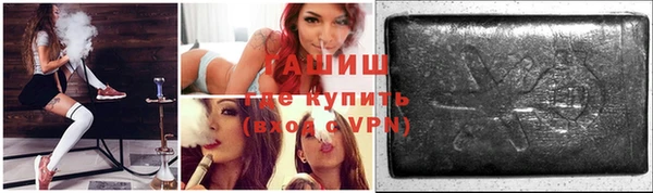 индика Протвино