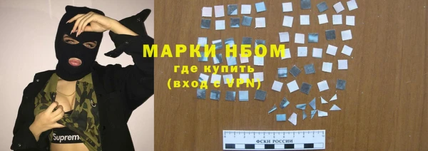 индика Протвино