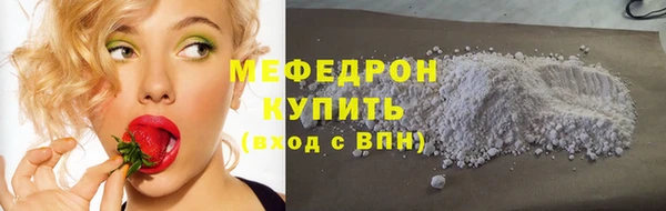 индика Протвино