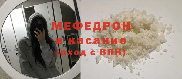 индика Протвино
