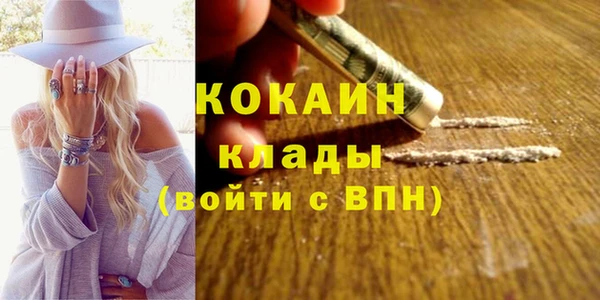 индика Протвино