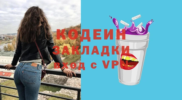 индика Протвино